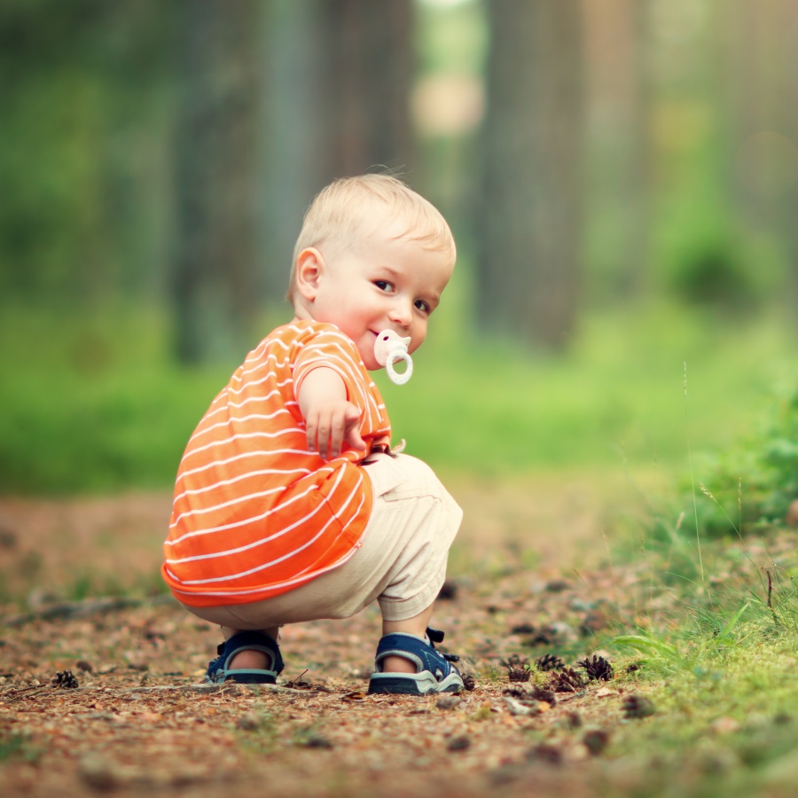 What is Fostering? - Banner Image